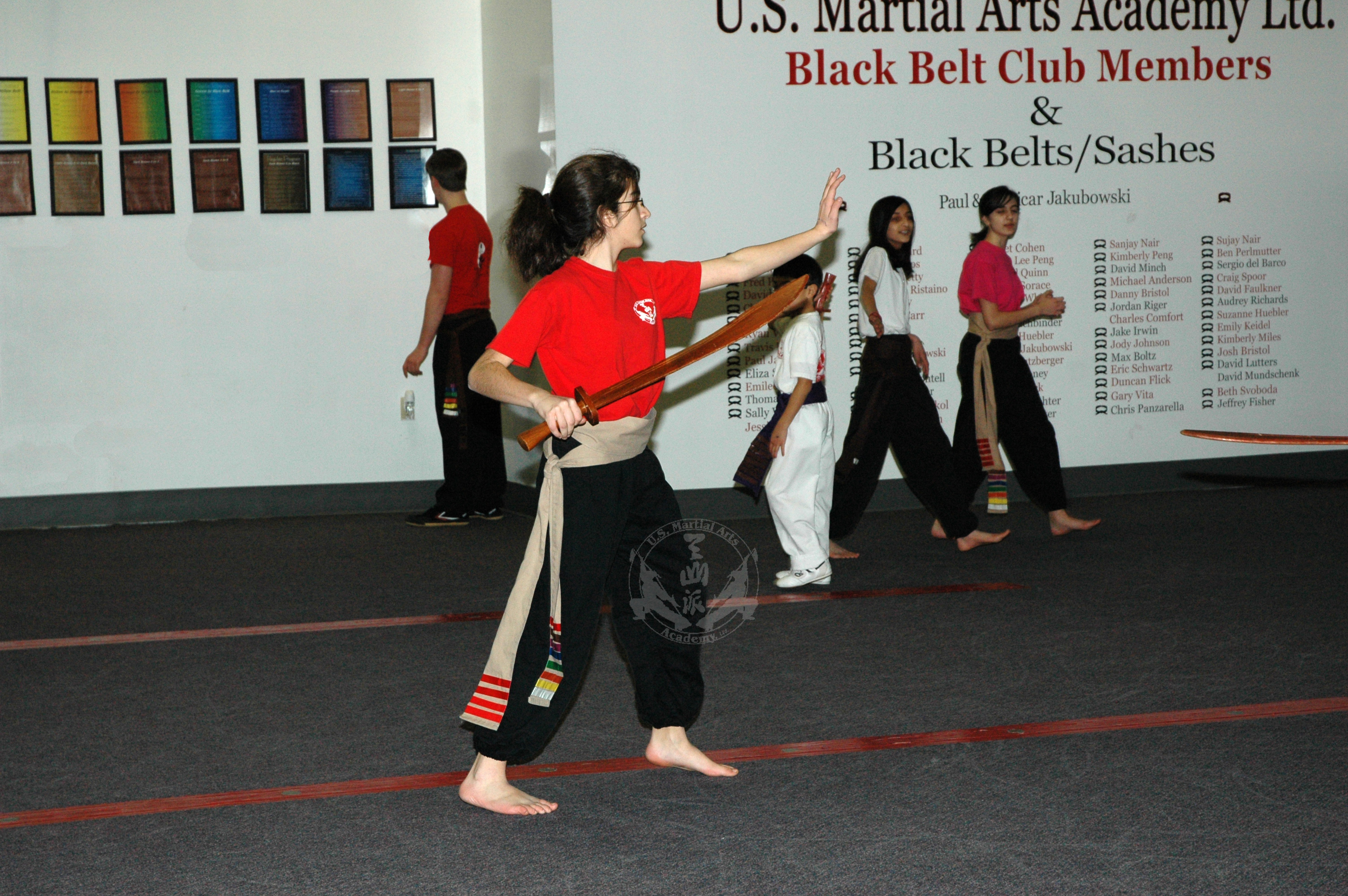 Broadsword Training at US Martial Arts Academy, Ltd in Timonium Learn Kung Fu and Tai Chi at