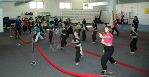 empty hand techniques in the Family Kung Fu Class at US Martial Arts Academy, Ltd in Timonium, Maryland, www.usmaltd.com, 410-561-9882. ©2015 Maricar Jakubowski All rights reserved. No usage allowed in any form without the written consent of the photographer.
