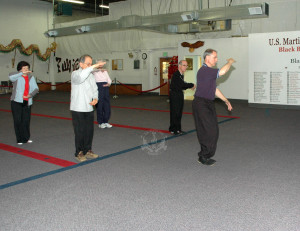 Adult Tai Chi class at U.S. Martial Arts Academy, Ltd. Timonium Maryland U.S.A.©2015 Maricar Jakubowski www.usmaltd.com 410-561-9882 All rights reserved.