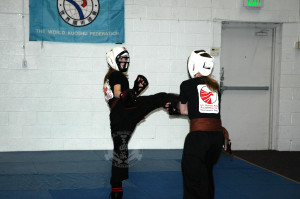 Practice Sparring in Family Kung Fu Class at US Martial Arts Academy, Ltd in Timonium, Maryland, www.usmaltd.com, 410-561-9882. ©2015 Maricar Jakubowski All rights reserved. No usage allowed in any form without the written consent of the photographer.