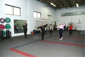 Our Tai Chi program offers low impact martial arts training in the Yang style of Tai Chi for both beginners and advanced students at US Martial Arts Academy, Ltd in Timonium, Maryland, www.usmaltd.com, 410-561-9882. ©2015 Maricar Jakubowski All rights reserved. No usage allowed in any form without the written consent of the photographer.