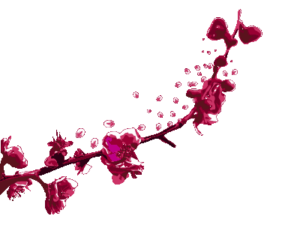 Plum flower blossom on plum tree photographed by LikesSilkto of Pixabay.com and converted to vector art by M. Jakubowski ©2022 Maricar Jakubowski All rights reserved.