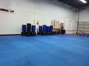 Self-Defense taught at the Birthday Party in Main Classroom of USMALtd in Cockeysville, Md