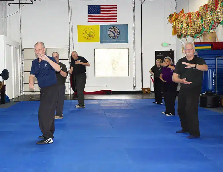 Adult Tai Chi class at US Martial Arts Academy, Ltd in Cockeysville, Md. , Learn self-defense & improve focus, fitness, strength, self-discipline, balance, & confidence in Kung Fu and Tai Chi at US Martial Arts Academy, Ltd in Cockeysville, Md 21030