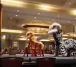2024 USKSF International Championship Tournament Opening Ceremony Lion Dance Demonstration
